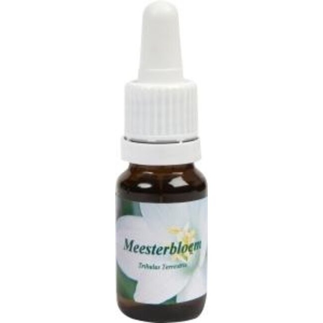 Star Remedies Meesterbloem 10 Milliliter