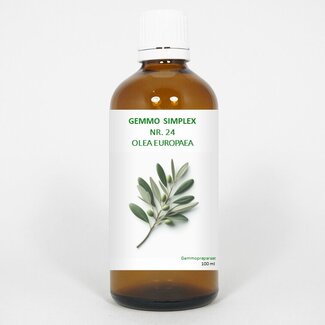 Balancepharma Balancepharma Gemmo simplex 24 olea europaea 100 Milliliter