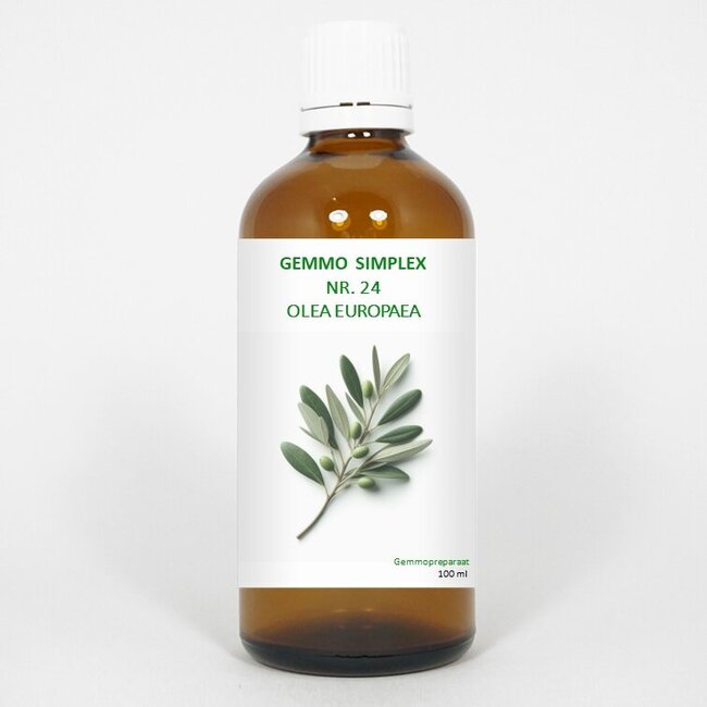 Balancepharma Gemmo simplex 24 olea europaea 100 Milliliter