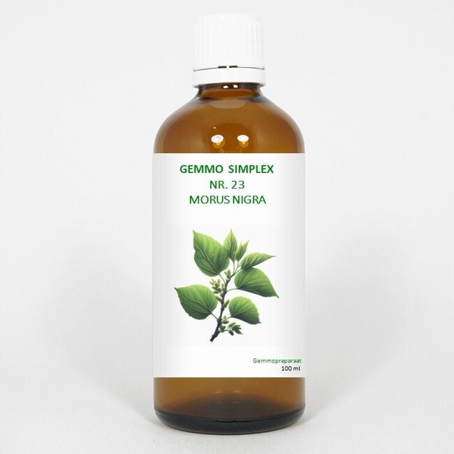 Balancepharma Gemmo simplex 23 morus nigra 100 Milliliter
