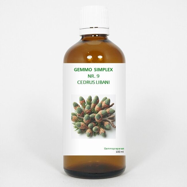 Balancepharma Gemmo simplex 9 cedrus libani 100 Milliliter