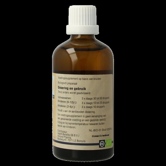 GO Ginkgo biloba bio 100 Milliliter