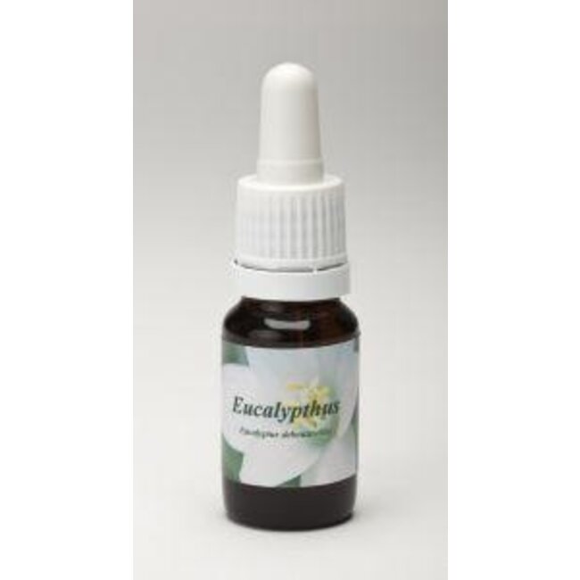 Star Remedies Eucalyptus 10 Milliliter