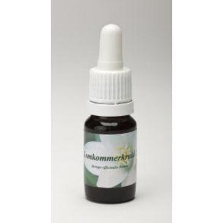 Star Remedies Star Remedies Komkommerkruid 2 10 Milliliter