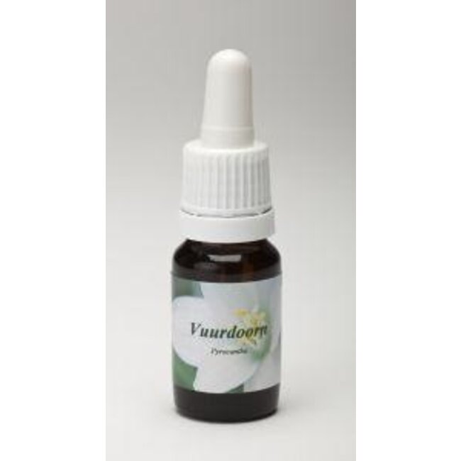 Star Remedies Vuurdoorn 10 Milliliter