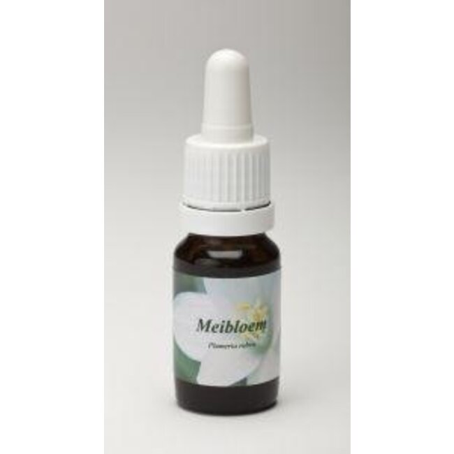 Star Remedies Meibloem 10 Milliliter