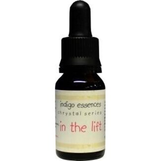 Indigo Essences Indigo Essences In the lift 15 ml