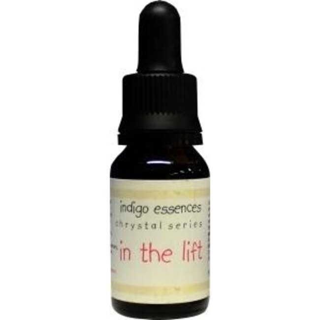 Indigo Essences In the lift 15 Milliliter