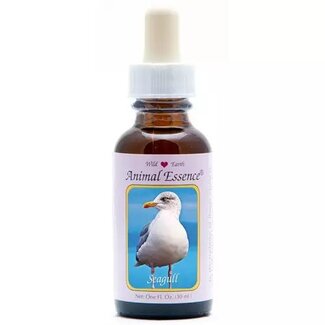 Animal Essences Animal Essences Seagull (zeemeeuw) 30 Milliliter