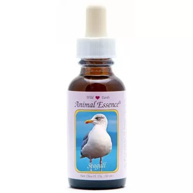 Animal Essences Seagull (zeemeeuw) 30 Milliliter