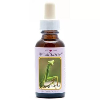 Animal Essences Animal Essences Praying mantis (bidsprinkhaan) 30 Milliliter