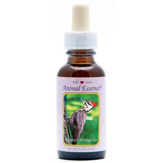 Animal Essences Animal Essences Pileated woodpecker (helmspecht) 30 Milliliter