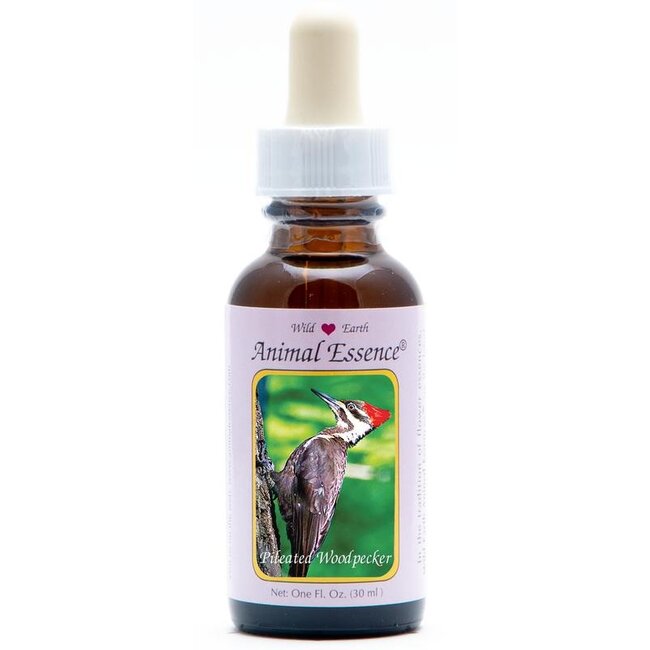 Animal Essences Pileated woodpecker (helmspecht) 30 Milliliter