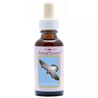 Animal Essences Animal Essences Peregrine falcon (slechtvalk) 30 Milliliter