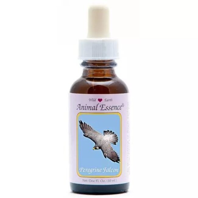 Animal Essences Peregrine falcon (slechtvalk) 30 Milliliter