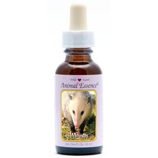 Animal Essences Animal Essences Opossum (buidelrat) 30 Milliliter