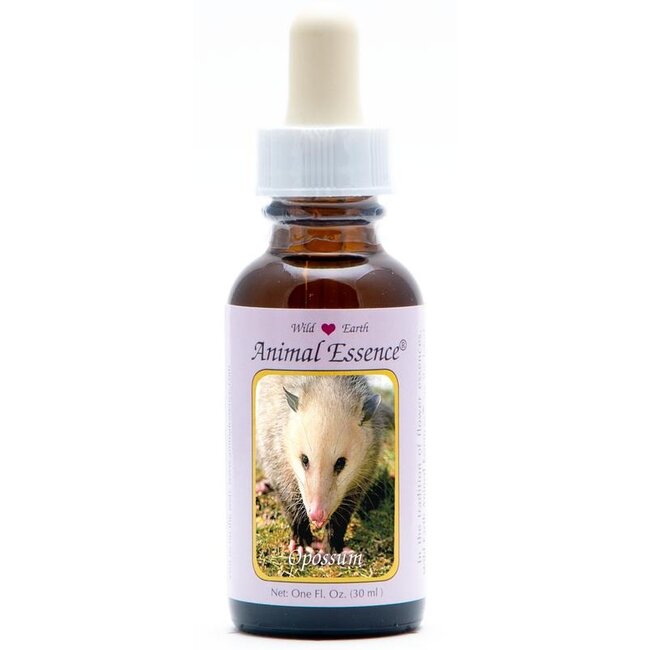 Animal Essences Opossum (buidelrat) 30 Milliliter