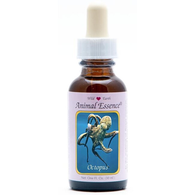 Animal Essences Octopus 30 Milliliter