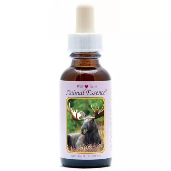 Animal Essences Moose (eland) 30 Milliliter
