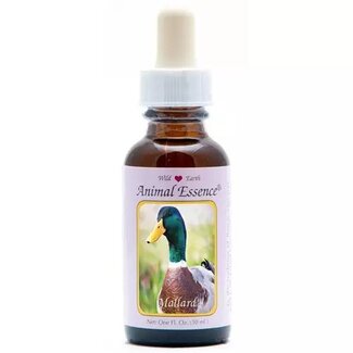 Animal Essences Animal Essences Mallard (Canard Colvert) 30 ml