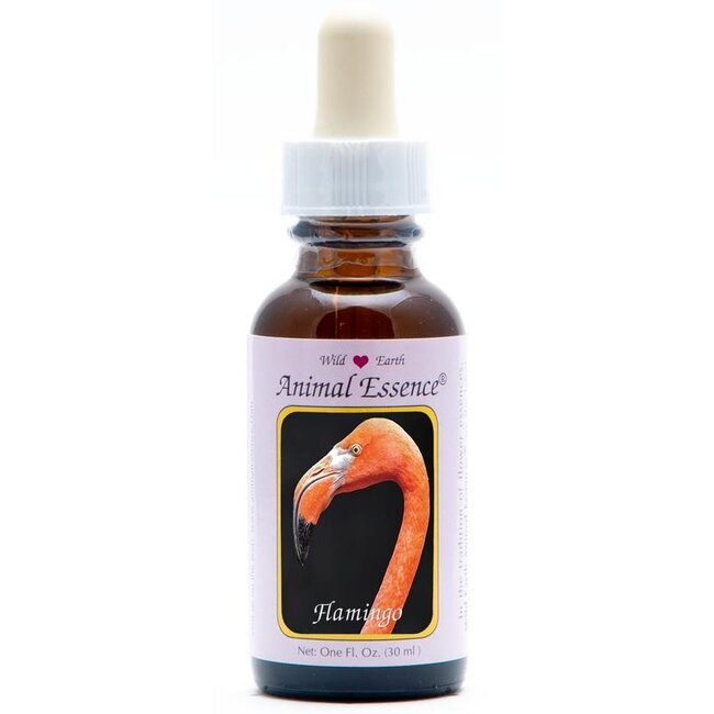 Animal Essences Flamingo 30 Milliliter