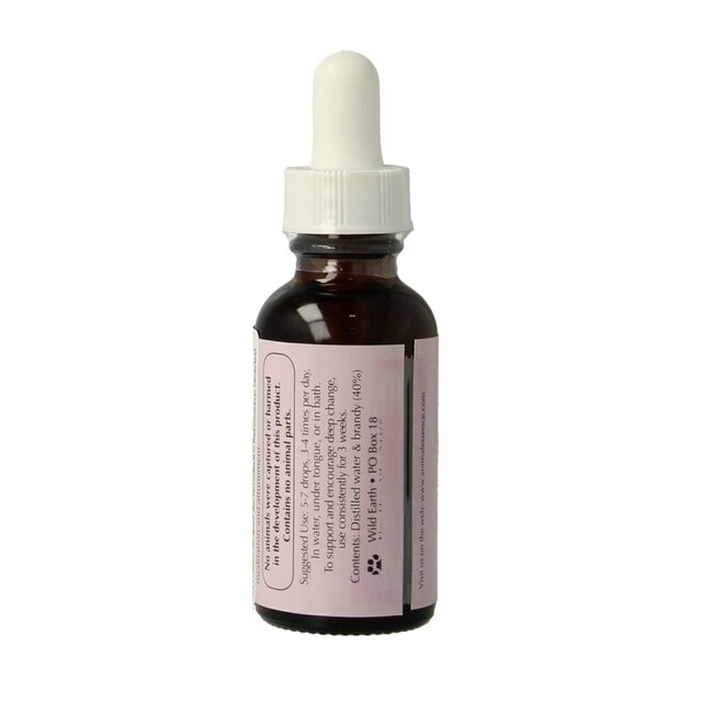 Animal Essences Bobcat (Amerikaanse lynx) 30 Milliliter