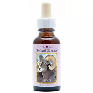 Animal Essences Animal Essences Bighorn sheep (schaap) 30 Milliliter