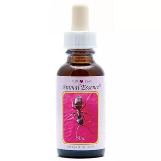 Animal Essences Animal Essences Ant (mier) 30 Milliliter