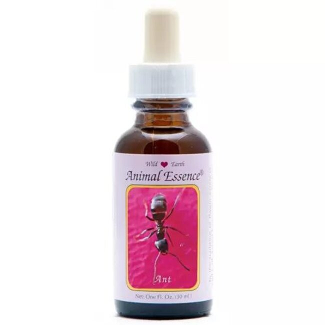Animal Essences Ant (mier) 30 Milliliter