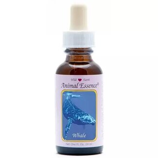 Animal Essences Animal Essences Whale (walvis) 30 Milliliter