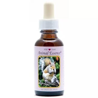 Animal Essences Animal Essences Squirrel (eekhoorn) 30 Milliliter