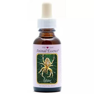 Animal Essences Animal Essences Spider (spin) 30 Milliliter