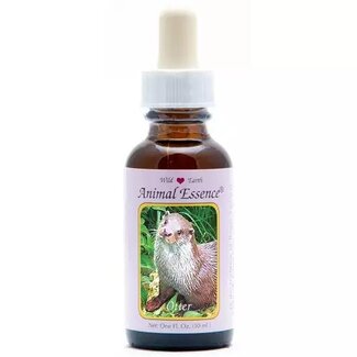 Animal Essences Animal Essences Otter 30 Milliliter