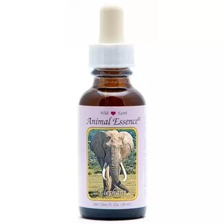 Animal Essences Animal Essences Elephant (olifant) 30 Milliliter