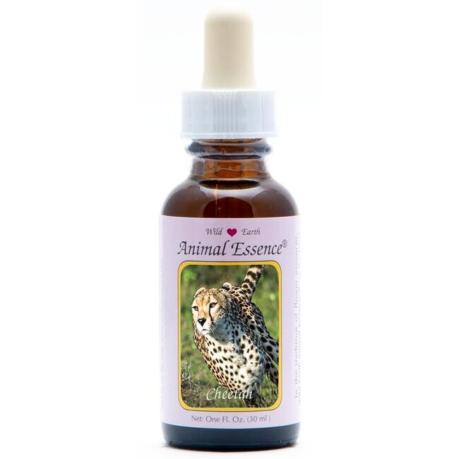 Animal Essences Cheetah (jachtluipaard) 30 Milliliter