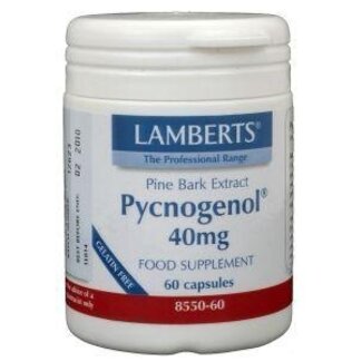 Lamberts Lamberts Extrait d'écorce de pin (Pycnogenol 40mg) 60 Capsules végétariennes