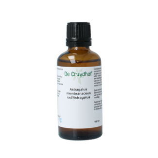 Cruydhof Cruydhof Astragalus membranaceus radix tinctuur 50 Milliliter