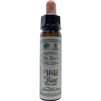 Ainsworths Ainsworths Wild rose Bach 10 Milliliter