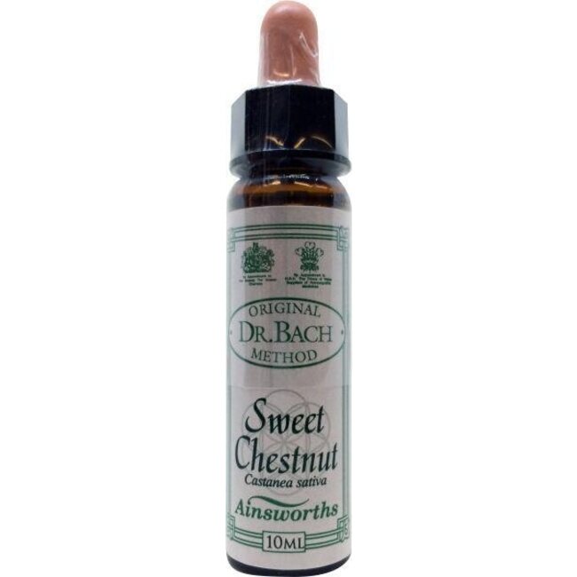 Ainsworths Sweet chestnut Bach 10 Milliliter