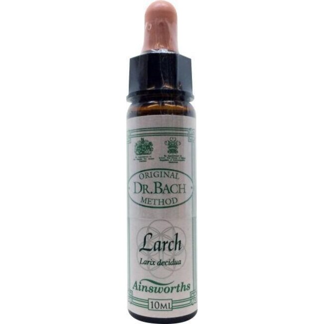 Ainsworths Larch Bach 10 Milliliter