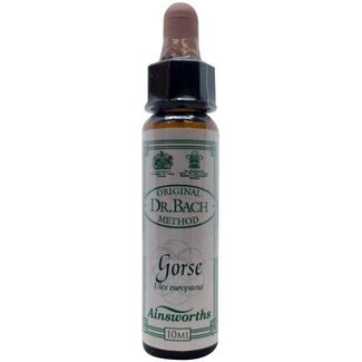 Ainsworths Ainsworths Gorse Bach 10 Milliliter