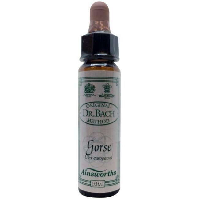 Ainsworths Gorse Bach 10 Milliliter
