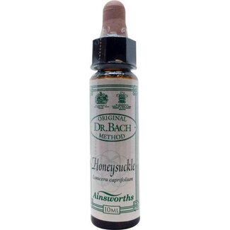 Ainsworths Ainsworths Honeysuckle Bach 10 Milliliter