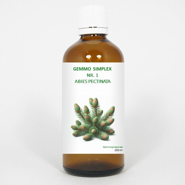 Balancepharma Gemmo simplex 1 abies pectinata 100 Milliliter
