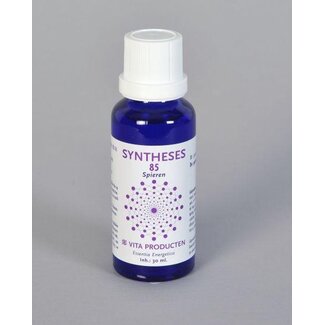 Vita Vita Syntheses 85 spieren 30 Milliliter