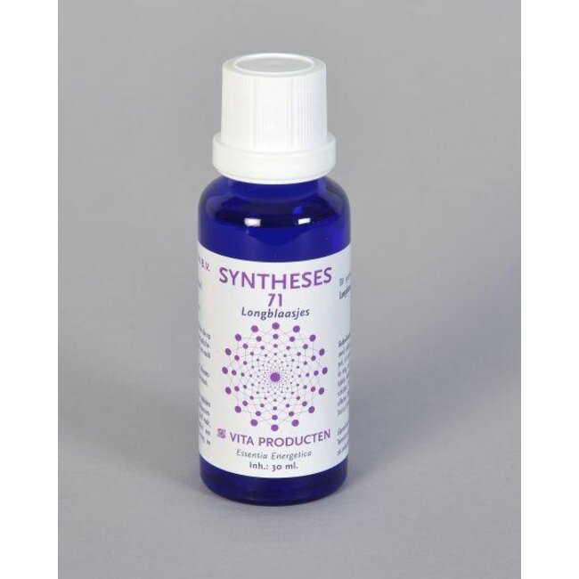 Vita Syntheses 71 longblaasjes 30 Milliliter