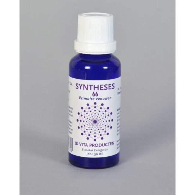 Vita Syntheses 66 primaire zenuwen 30 Milliliter