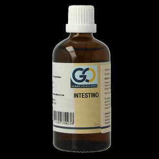 GO Intestino bio 100 Milliliter