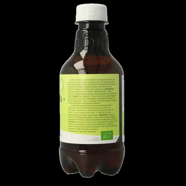 Purasana Kombucha matcha vegan bio 330 Milliliter