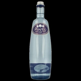 Pineo Eau minérale gazeuse intense Pineo Luna llena 1 litre